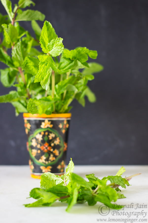 Dried Mint Leaves | How To