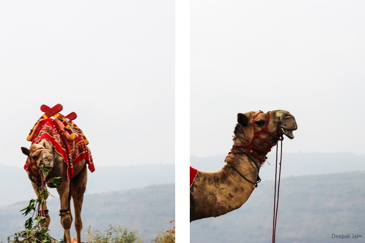 Mahabaleshwar Photo Blog – Part 4 | Travel Story