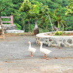 Lohagarh Fort Pune