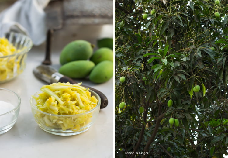 Raw Mango Preserve