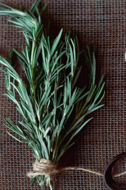 Rosemary: Benefits, Uses, and Growing Tips — Lemon in Ginger